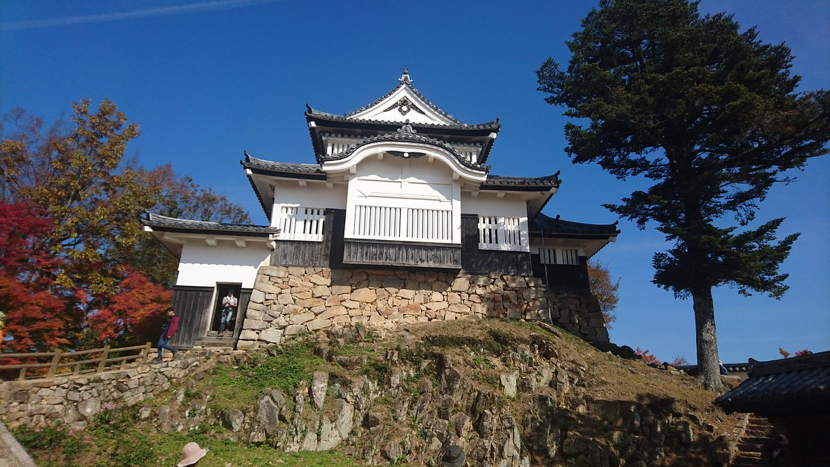 Bitchu-Matsuyama Castle